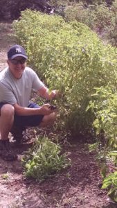 lugis restaurant italian food luigi harvesting fresh herbs
